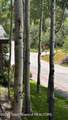 3385 Village Road Drive - Photo 10