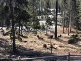 37258 Yaak River Road - Photo 67