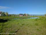 1135 Shasta Daisy Court - Photo 8