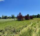 5 Hastings Drive - Photo 6