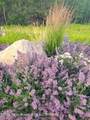 2780 Black Sheep Farm Road - Photo 38