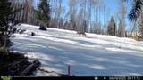  Lot 5 Sunrise Mountain Estates - Photo 12