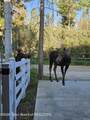 559 Moose Street - Photo 44
