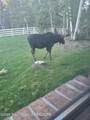 559 Moose Street - Photo 45