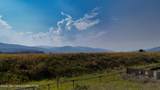 536 Snake River Drive - Photo 9