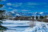 20 Blackfoot Trail - Photo 11