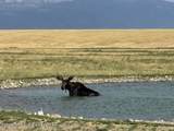 LOT 2 Boundless Sky Drive - Photo 22