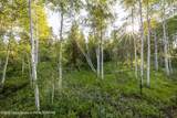 15245 E Teton Wilderness Drive - Photo 12