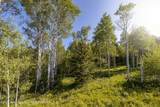 15245 E Teton Wilderness Drive - Photo 9