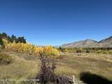 1325 Munger Mountain Road - Photo 41