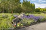 2780 Black Sheep Farm Road - Photo 10