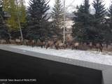 575 Bar Y Road - Photo 44