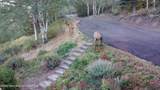 575 Bar Y Road - Photo 46