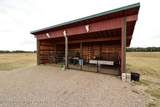 1516 Fischer Lane - Photo 40