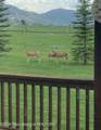 431 Shooting Star Drive - Photo 29