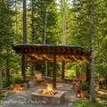 5727 Forest Ridge Road - Photo 8