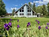 388 Middle Branch Drive - Photo 2