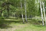 278 Dell Creek Road - Photo 39