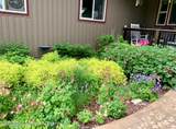 397 Dogwood Drive - Photo 53