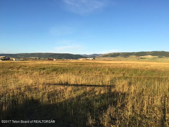 LOT 1 Highway 238 Auburn Wy Auburn Springs Estat - Photo 1