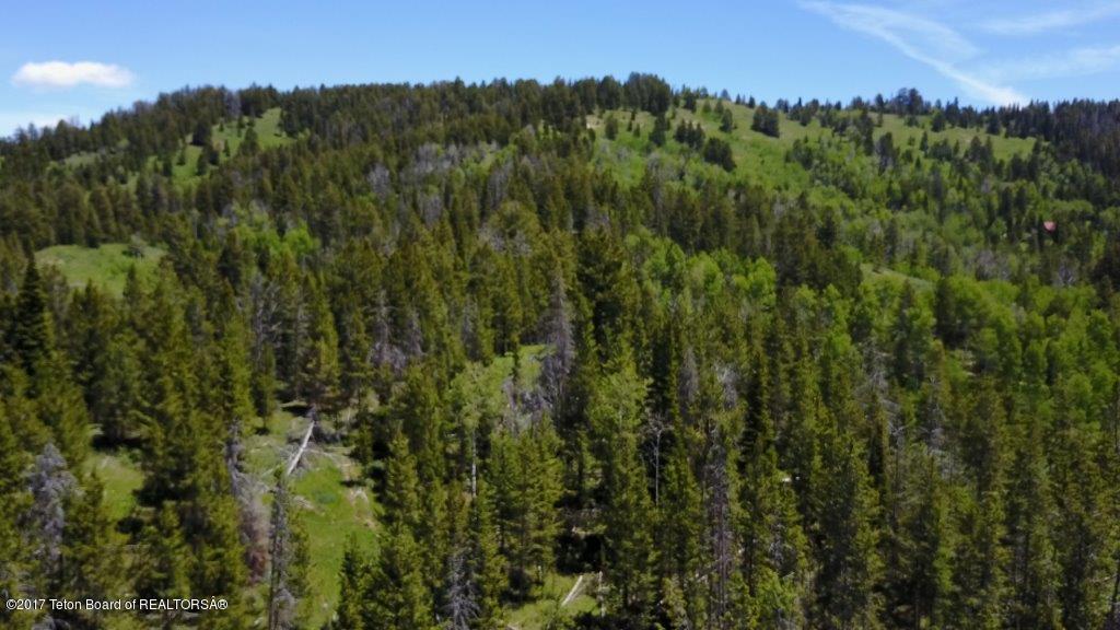 LOT 2 Deer Haven Rd - Photo 1