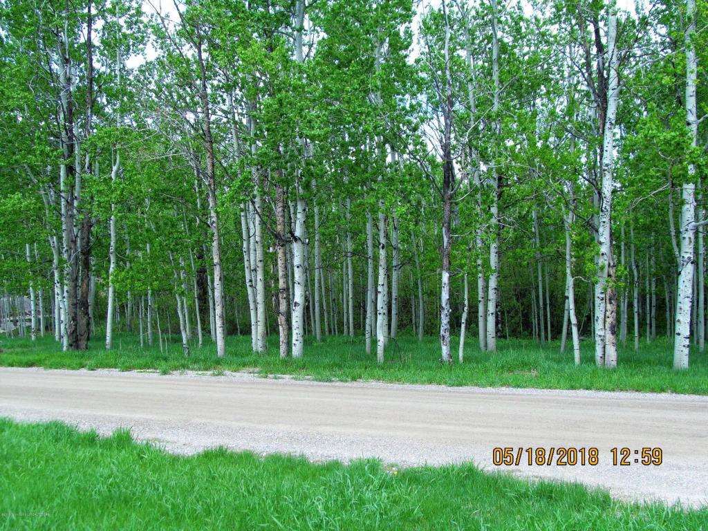 LOT #14 Walnut - Photo 1
