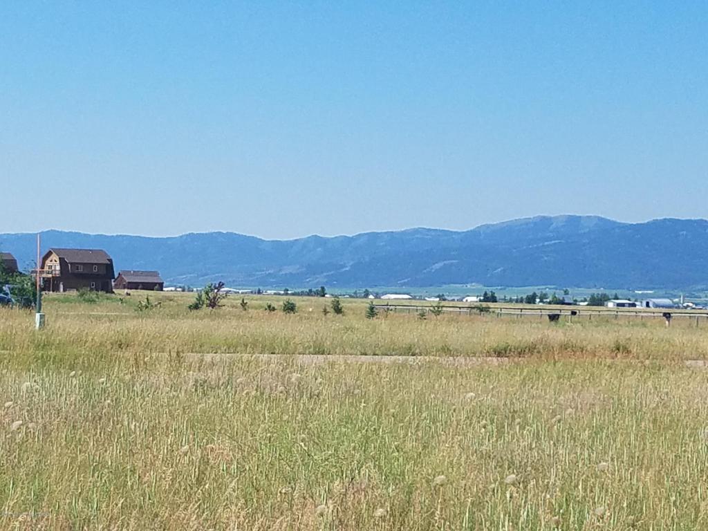 42 Wild Cat Canyon - Photo 1