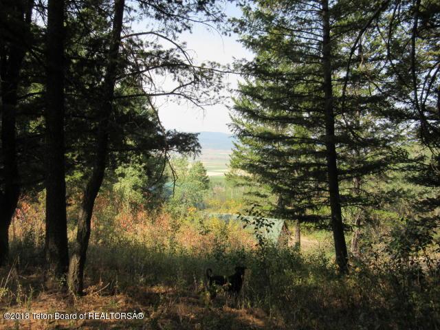 64 Alpenglow Dr. - Photo 1