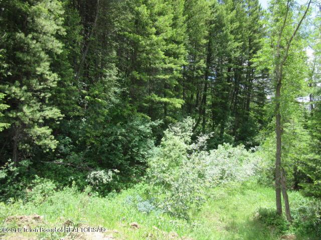 LOT 2 Sunrise Mountain Place - Photo 1