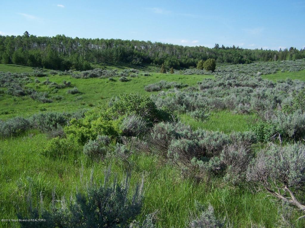 Rammell Mtn Road - Photo 1