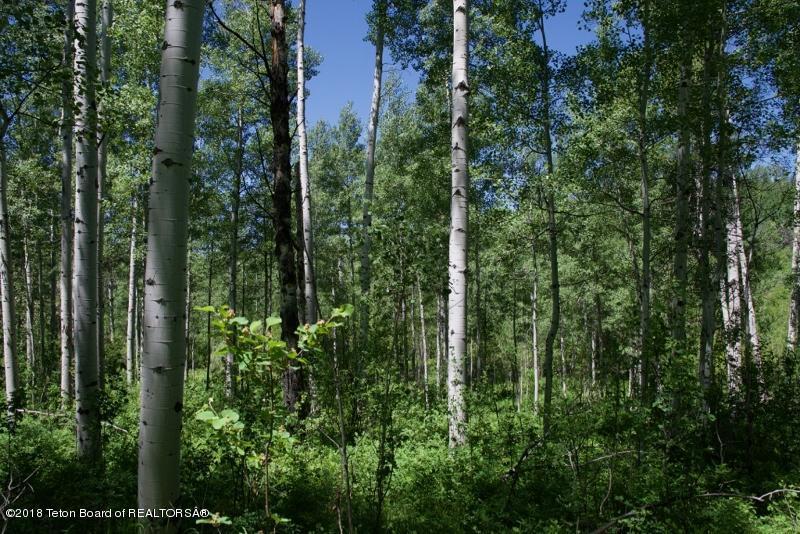 TBD Ruffed Grouse Rd - Photo 1