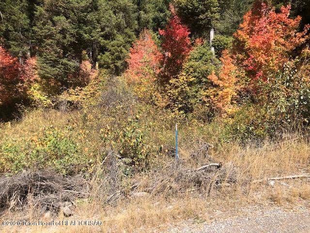 LOT 60 Cedar Dr - Photo 1