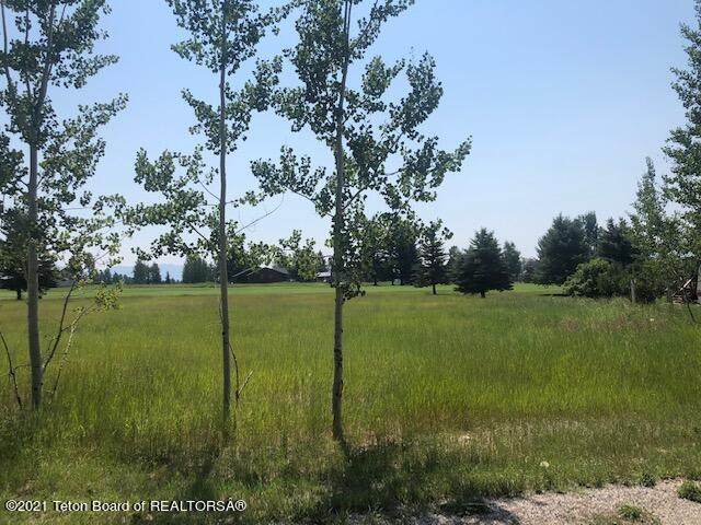 LOT 16 Walnut Dr - Photo 1