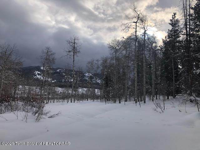 NYA Hwy 89 - Photo 1
