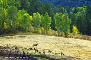 https://bt-photos.global.ssl.fastly.net/teton/orig_boomver_1_22-1-2.jpg