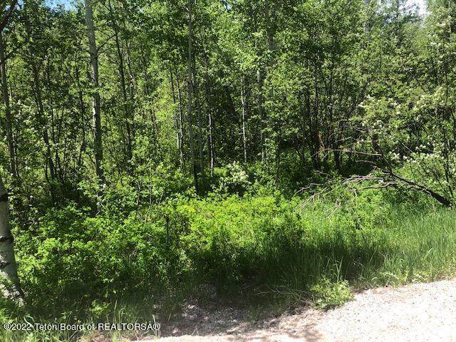 LOT 10 Cedar Dr - Photo 1