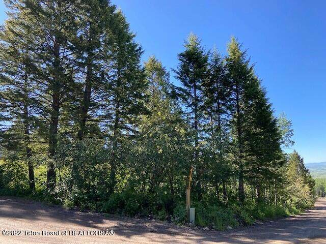 Lot 44 Cedar Drive - Photo 1