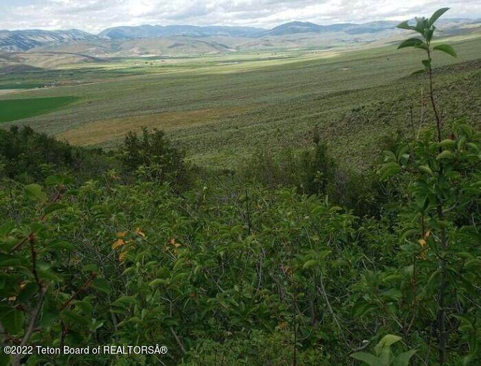 120 Wy State Highway 89 - Photo 1