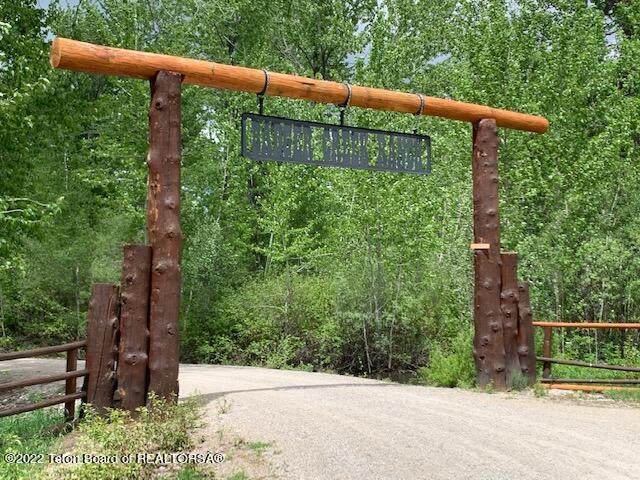 10230 Knights Way - Photo 1