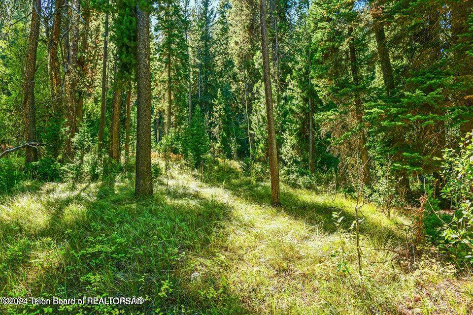 https://bt-photos.global.ssl.fastly.net/teton/orig_boomver_1_24-2918-2.jpg