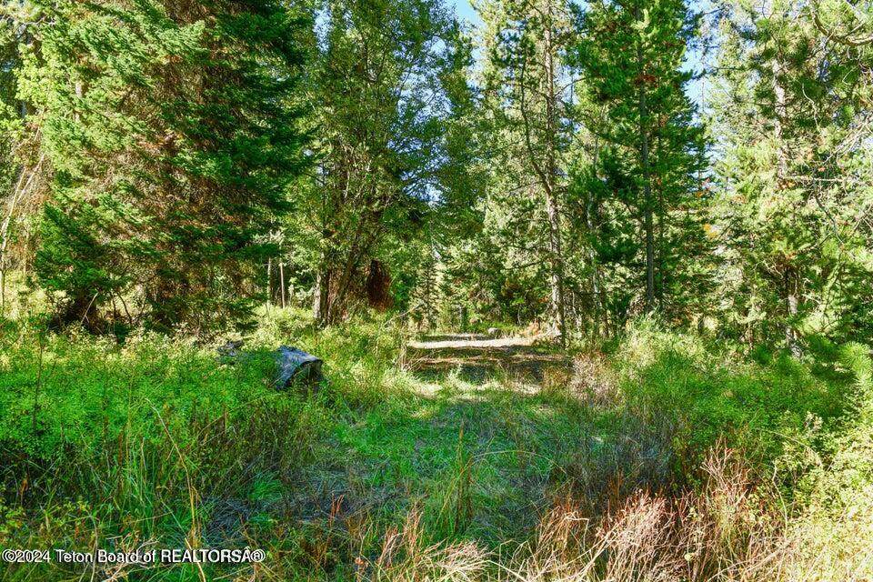 https://bt-photos.global.ssl.fastly.net/teton/orig_boomver_1_24-2918-2.jpg