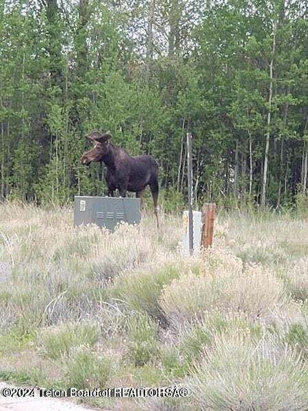 https://bt-photos.global.ssl.fastly.net/teton/orig_boomver_1_24-89-2.jpg
