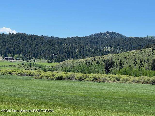 5000 Spring Creek Road - Photo 1
