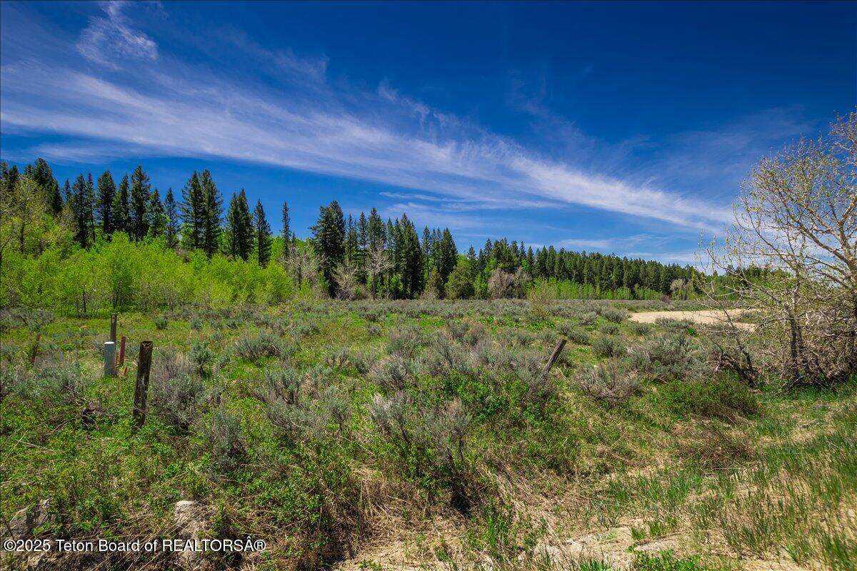 947 Sheridan Loop - Photo 1