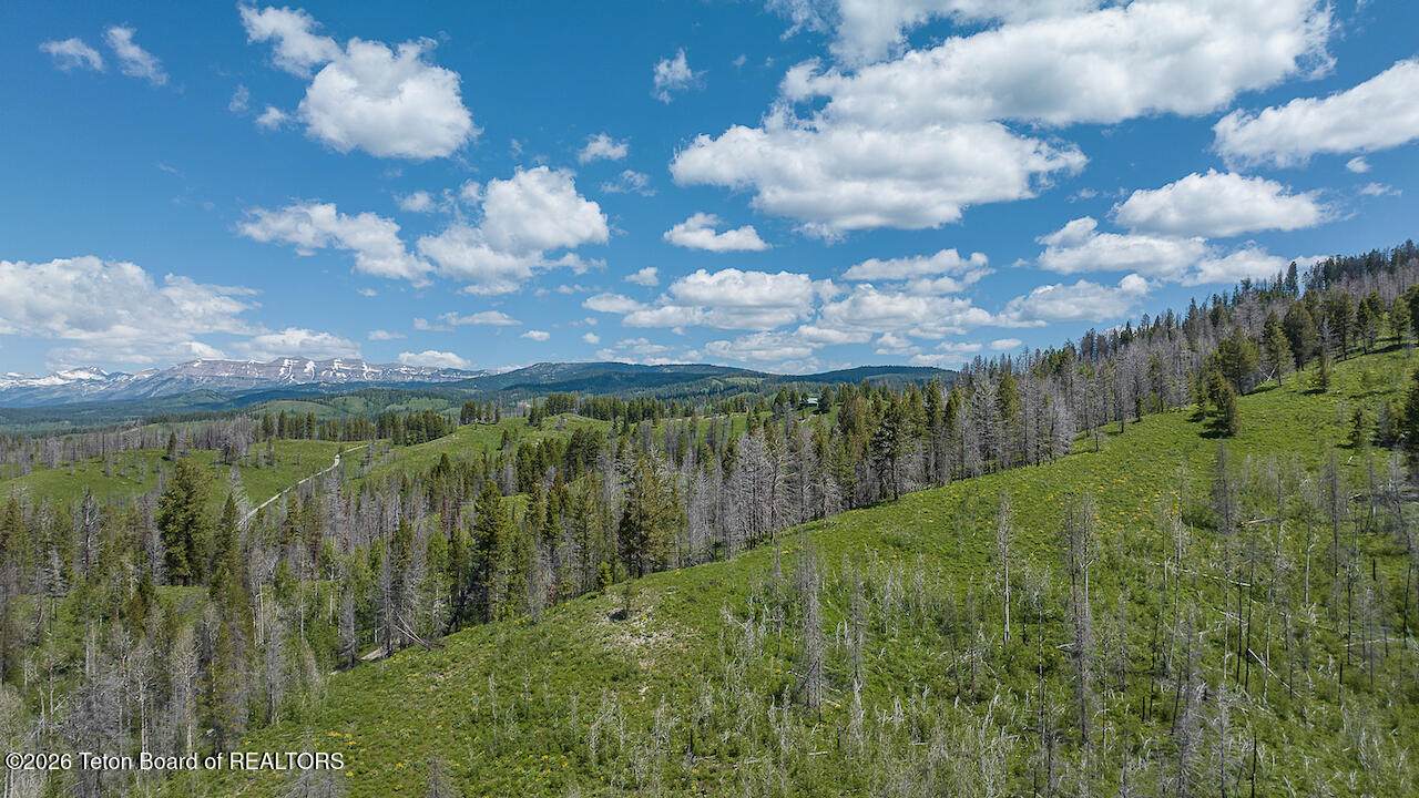 TBD Deer Haven 40 Ac Road - Photo 1