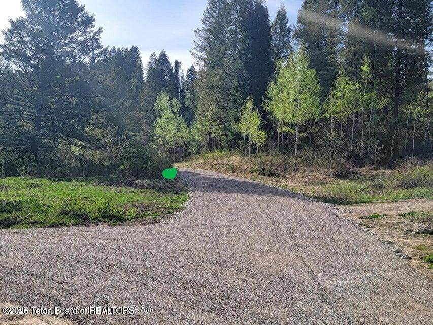 L39B4 Cutthroat Run - Photo 1