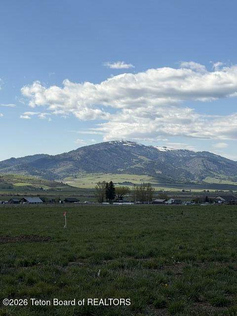 LOT 12 Bachelor's Button Circle Road - Photo 1