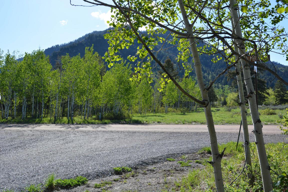 P 17A L 42 Middle Branch Drive - Photo 1