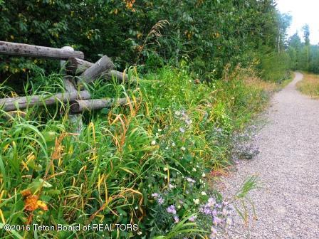 23 Bannock Cir - Photo 1