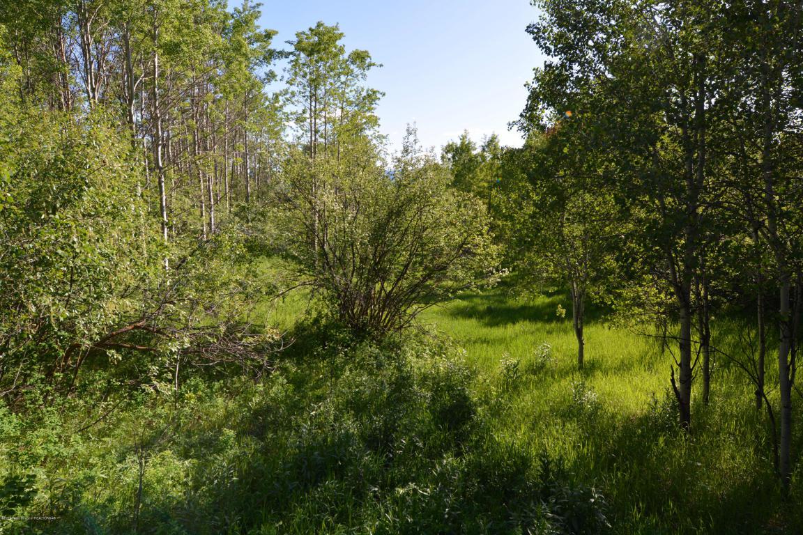 P 2 L 3 Birch - Photo 1